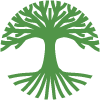 avivo organization logo